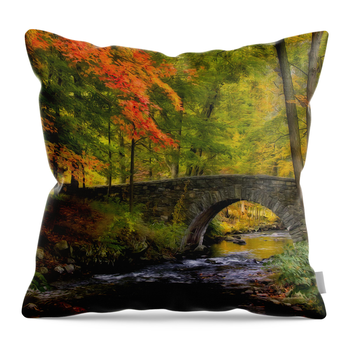 Autumn Throw Pillow featuring the photograph Natures Way by Susan Candelario