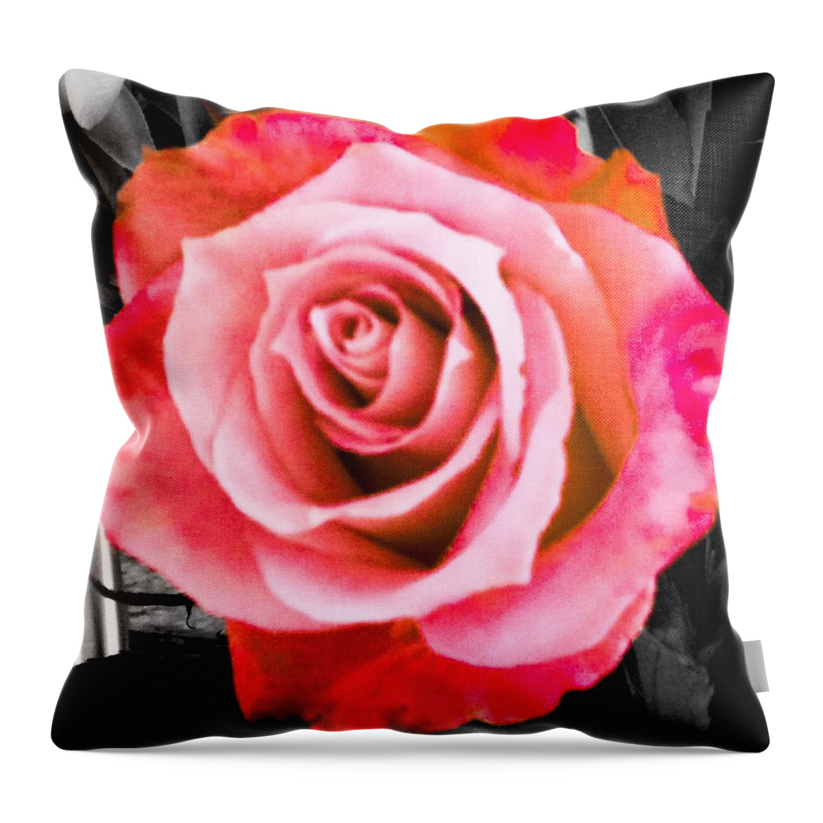 Roses Throw Pillow featuring the photograph Nature's Wonder by Marian Lonzetta