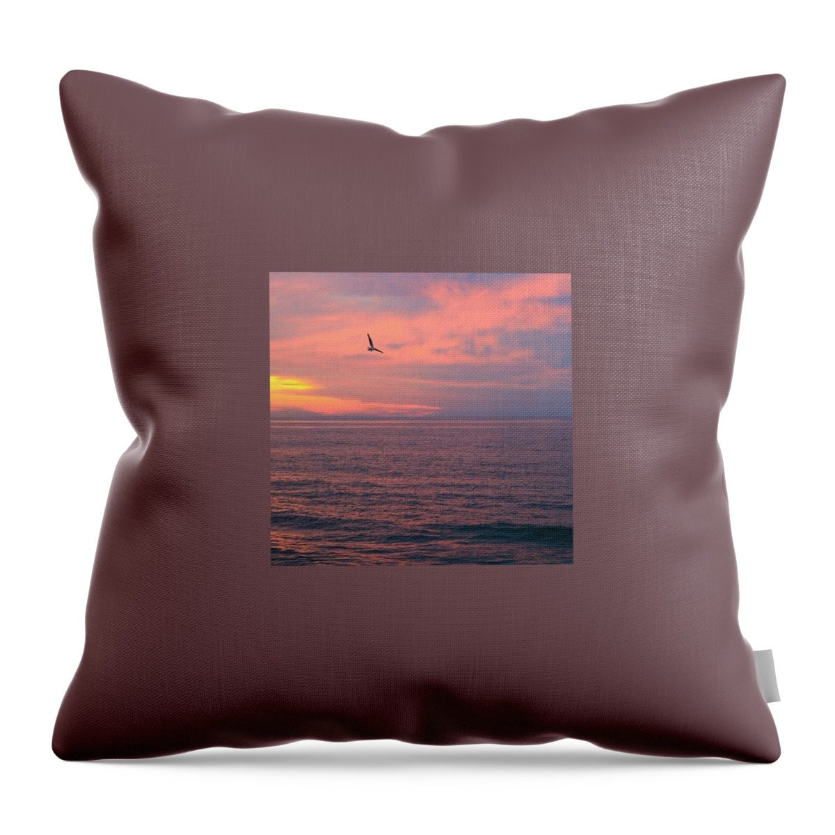 Gull Throw Pillow featuring the photograph Nauset Gull by Justin Connor