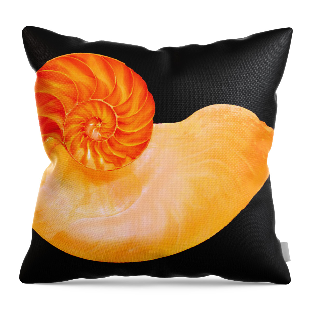 Tarpon Springs Throw Pillow featuring the photograph Nautilus Shell by Bill Barber