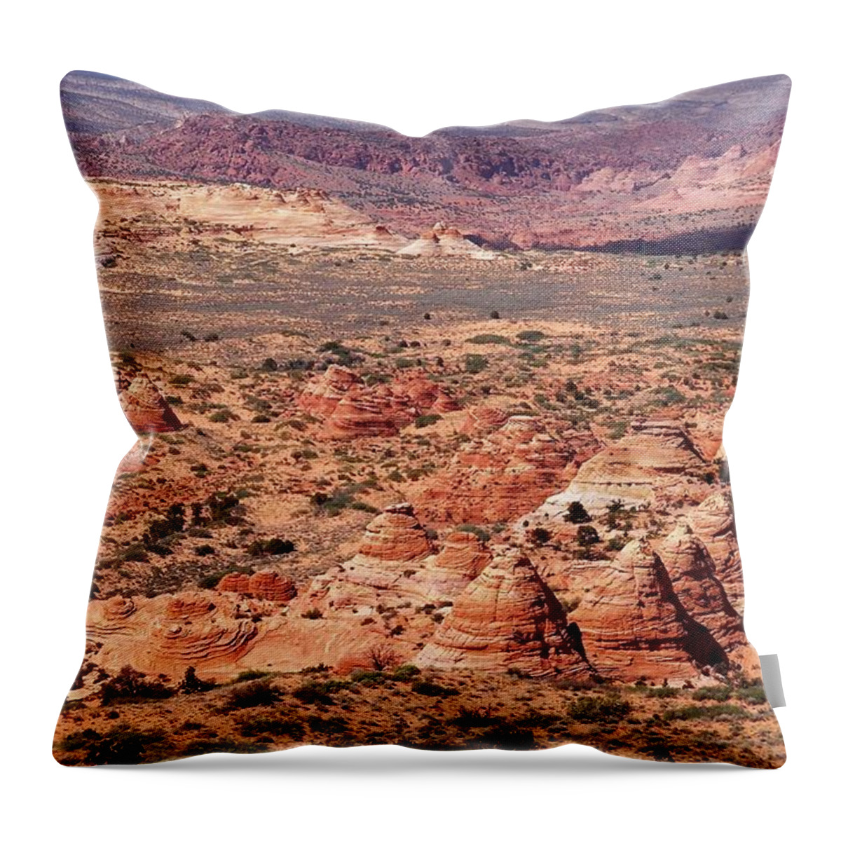 Tranquility Throw Pillow featuring the photograph Navajo Sandstone Teepees by Photograph By Michael Schwab