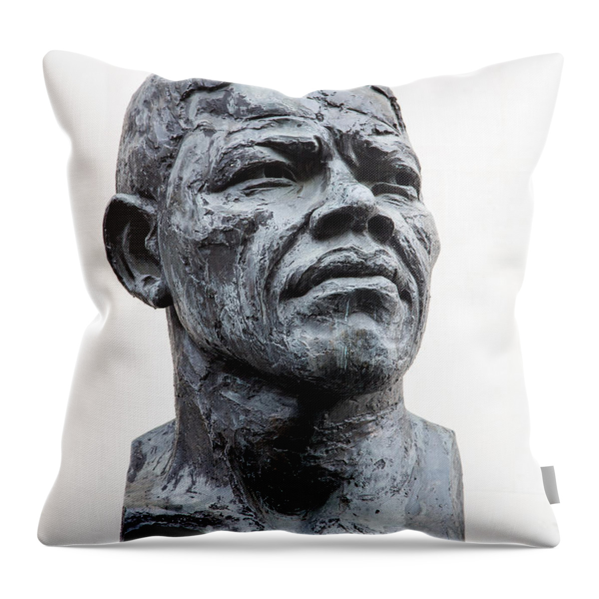 Africa Throw Pillow featuring the photograph Nelson Mandela statue by Jane Rix