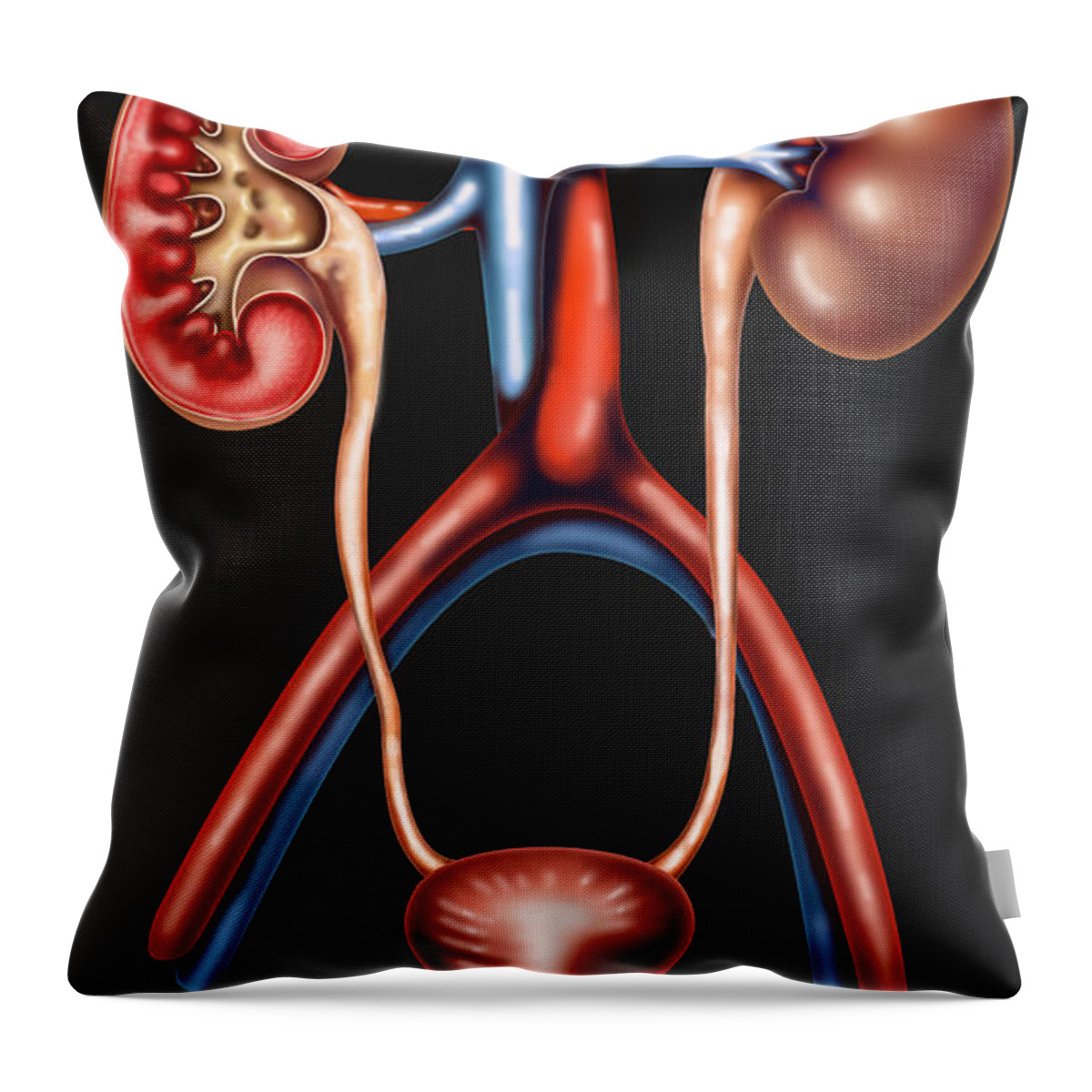 Illustration Throw Pillow featuring the photograph Nephritis by Gwen Shockey