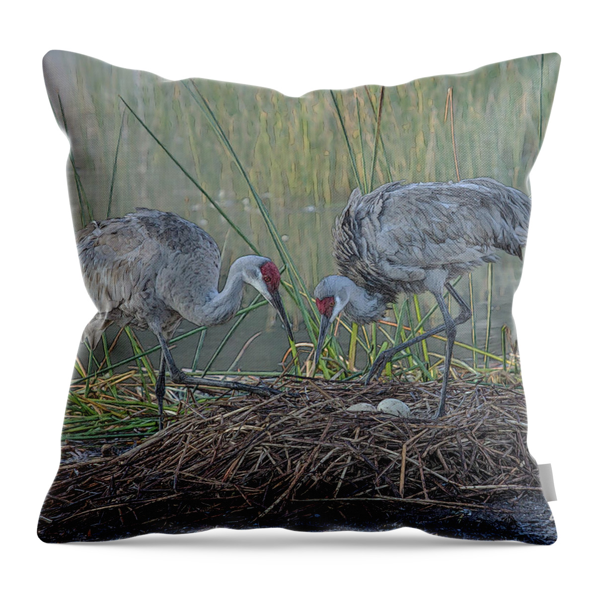 Sandhill Cranes Throw Pillow featuring the digital art Nesting Cranes by Larry Linton