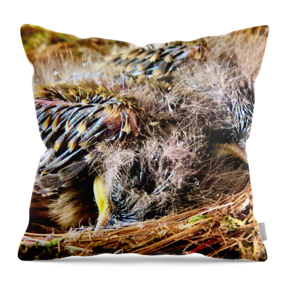 Bird Throw Pillow featuring the photograph Nestled by Art Dingo