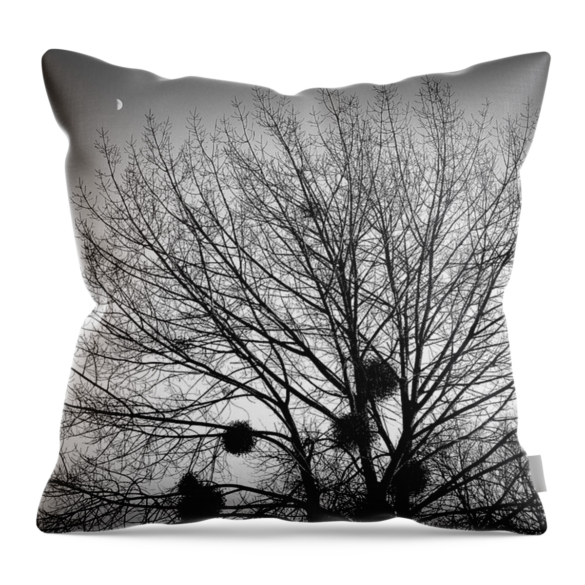Tree Throw Pillow featuring the photograph Nests and the moon by David Resnikoff