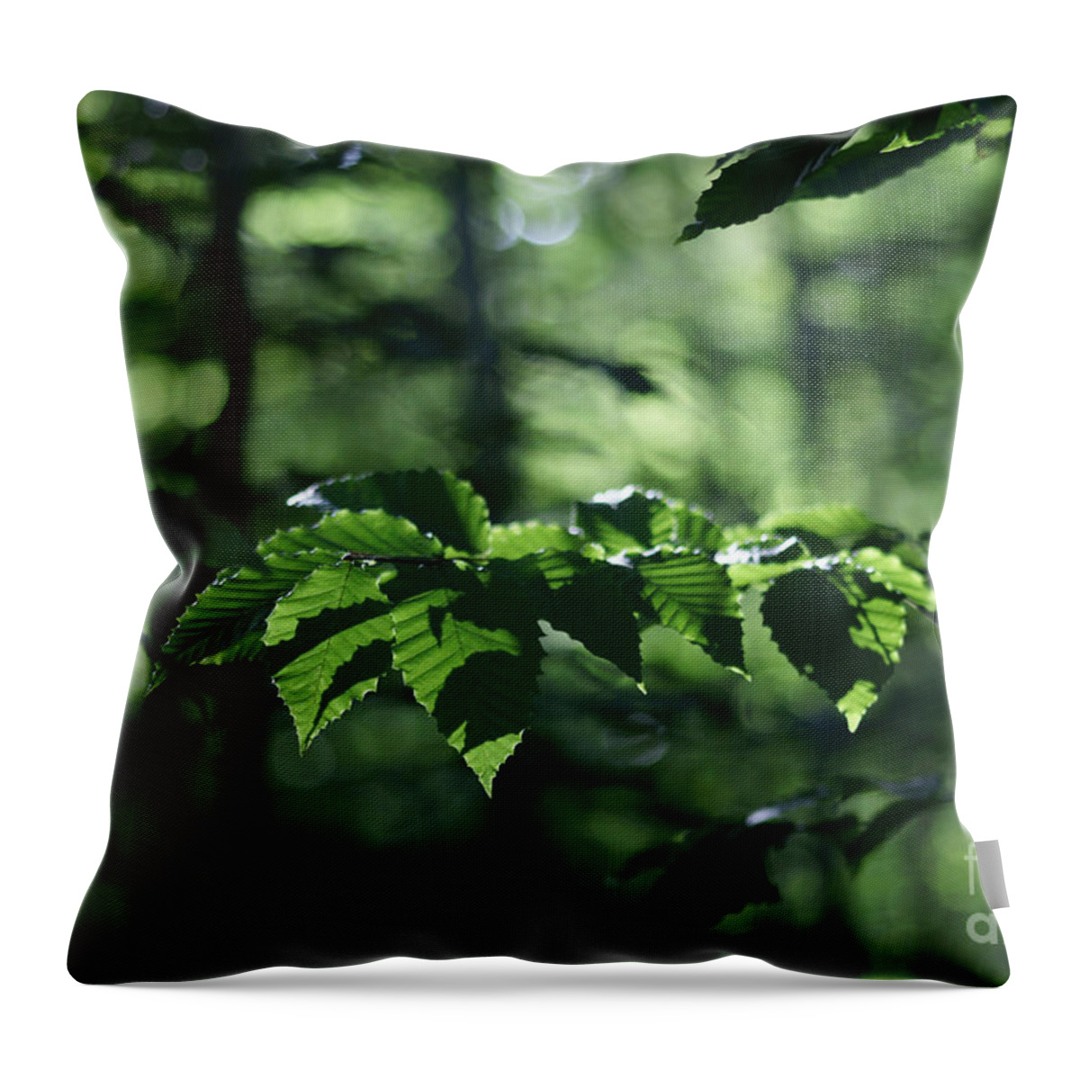 Woods Throw Pillow featuring the photograph Never Far From My Thoughts by Linda Shafer