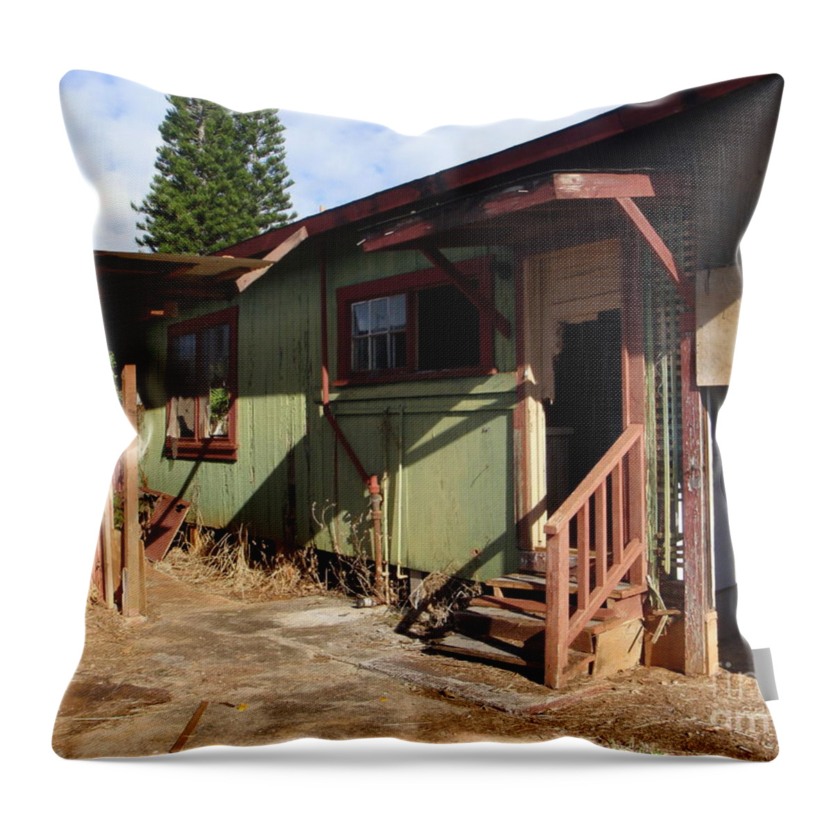 Mary Deal Throw Pillow featuring the photograph Never Mind Knocking by Mary Deal