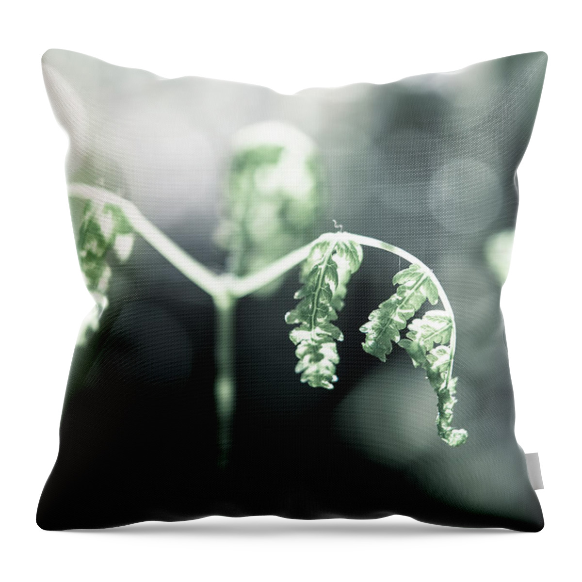 Alaska Throw Pillow featuring the photograph New Beginnings by Michele Cornelius