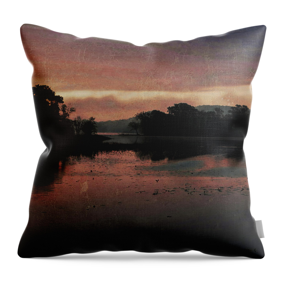 Dawn Throw Pillow featuring the photograph New Day Approaching by Theo O'Connor