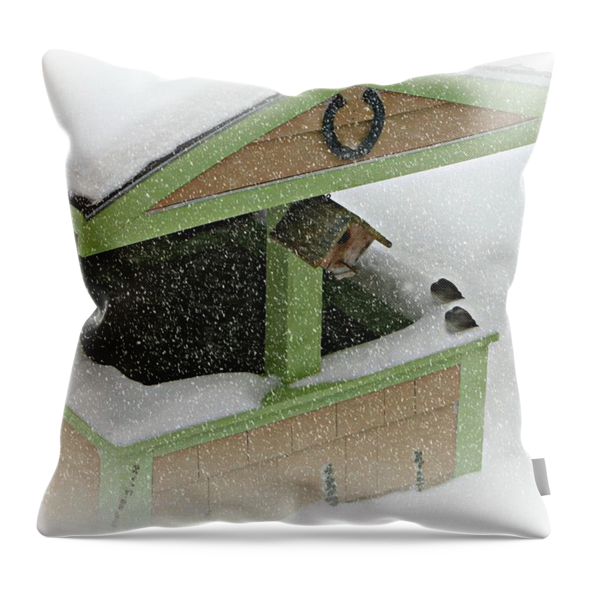 Blizzard Throw Pillow featuring the photograph New England Blizzard 2015 by Barbara S Nickerson