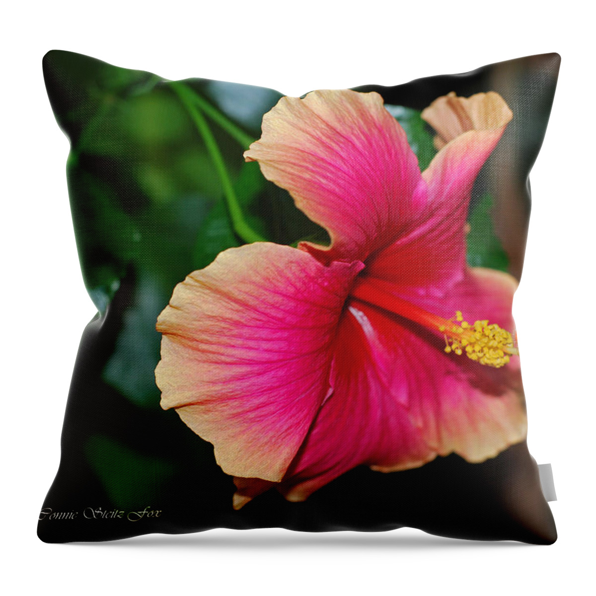 Hibiscus Throw Pillow featuring the photograph New Every Morning - Hibiscus by Connie Fox