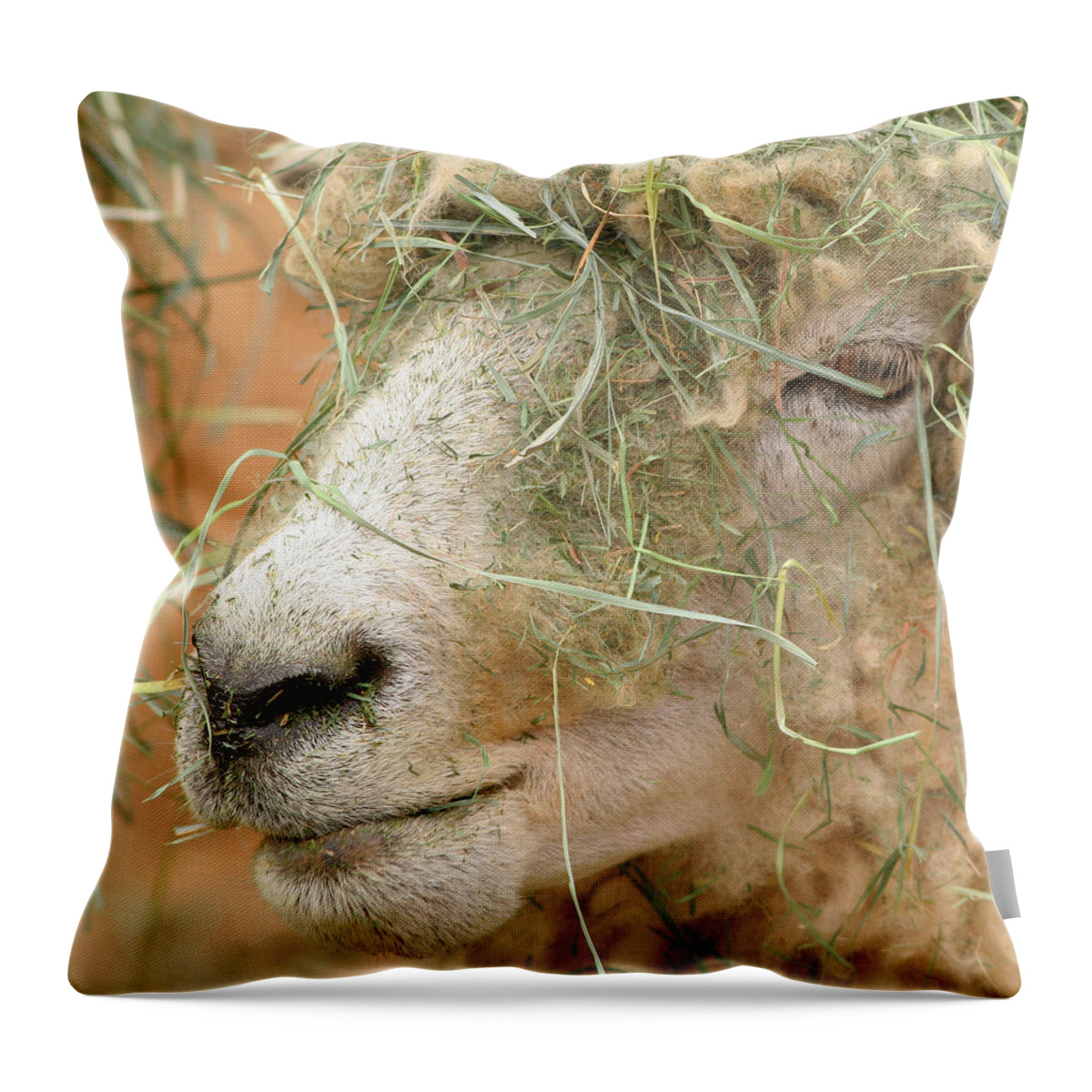 Sheep Throw Pillow featuring the photograph New Hair Style by Art Block Collections