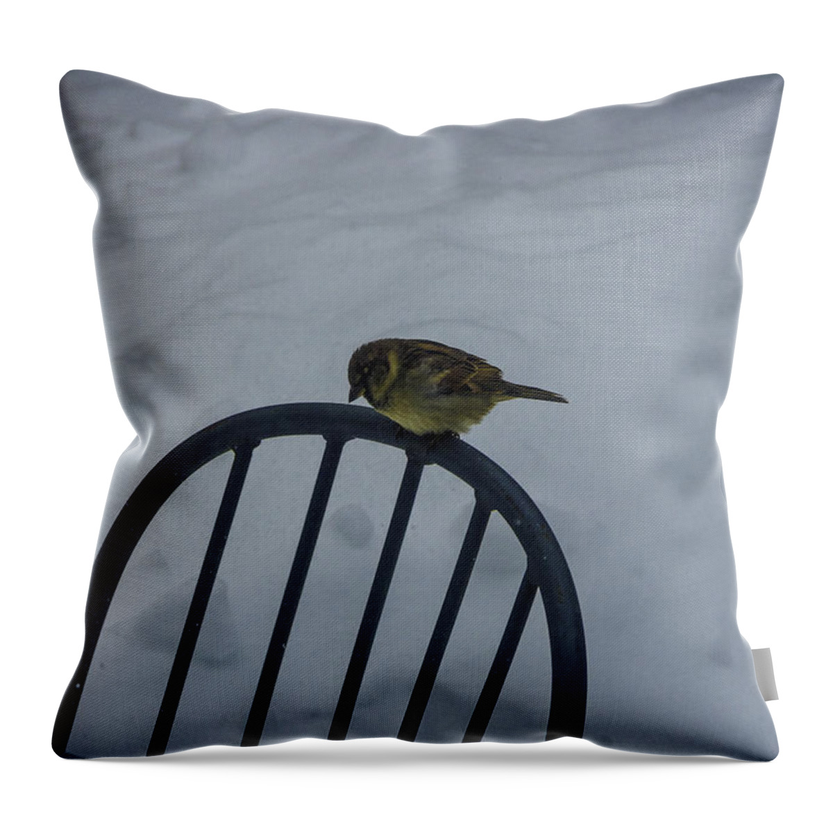 Snow Throw Pillow featuring the photograph New Perch by Nathan Seavey