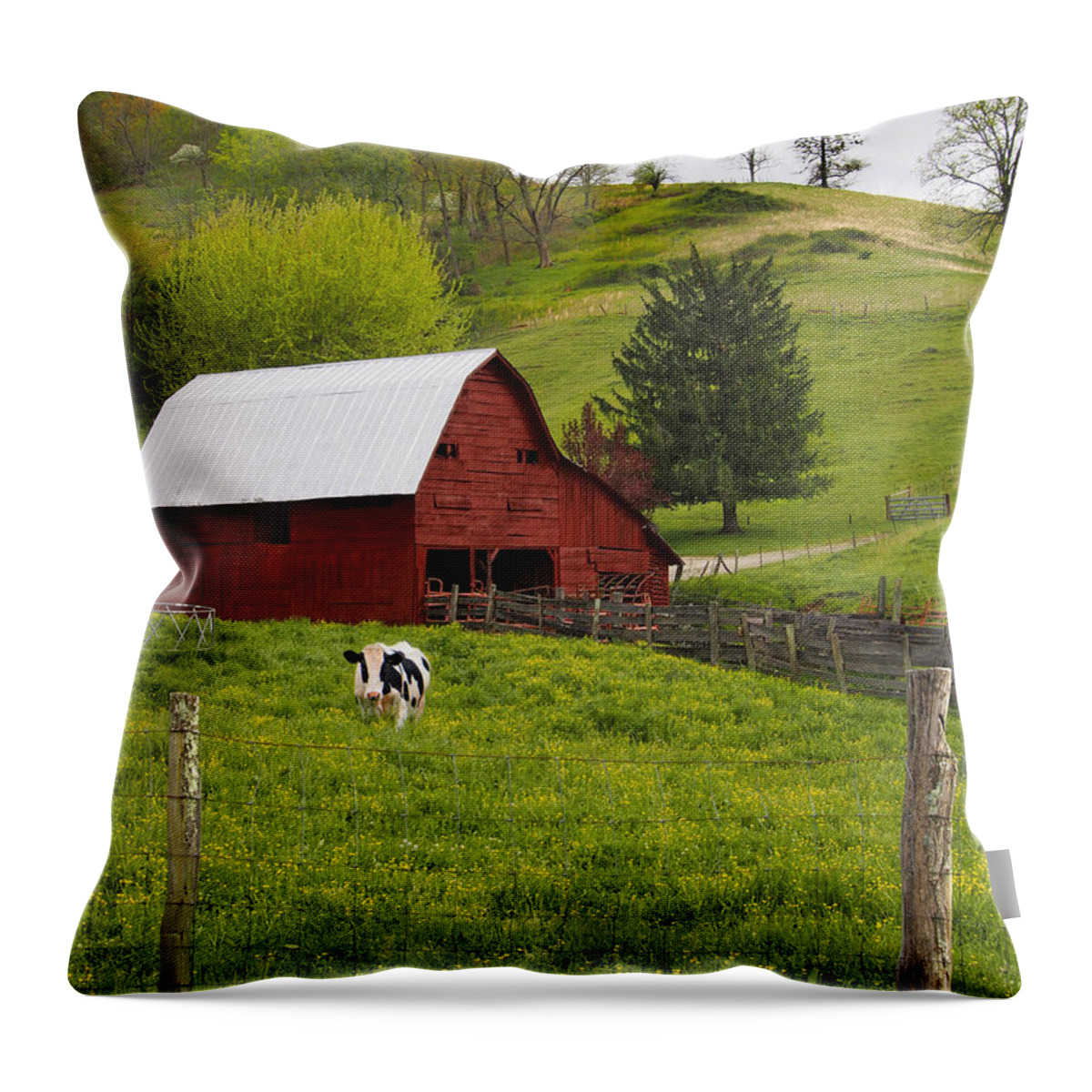 Red Barn Throw Pillow featuring the photograph New Red Paint by Mike McGlothlen