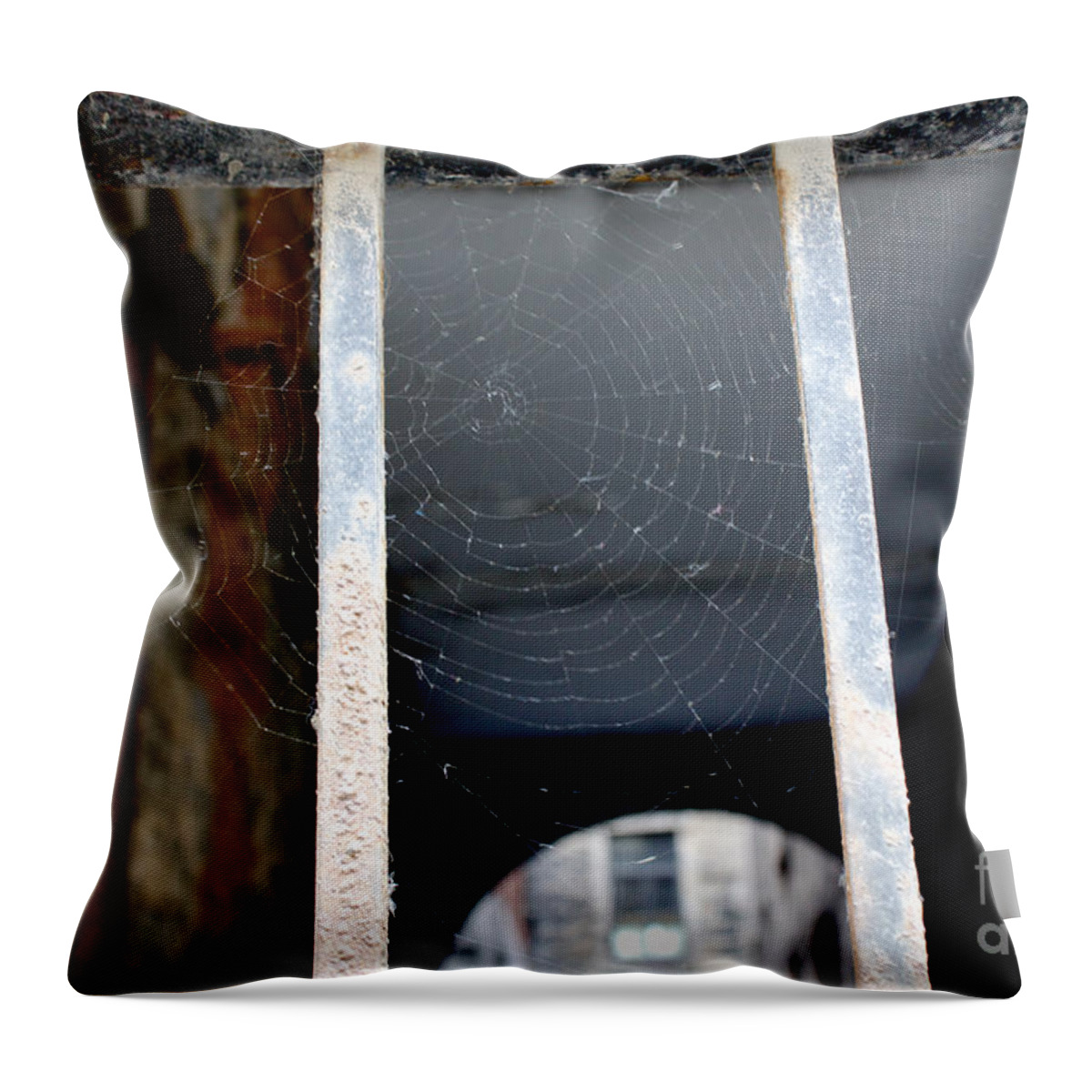Settler Throw Pillow featuring the photograph New Settlers on Our Rust by Donato Iannuzzi