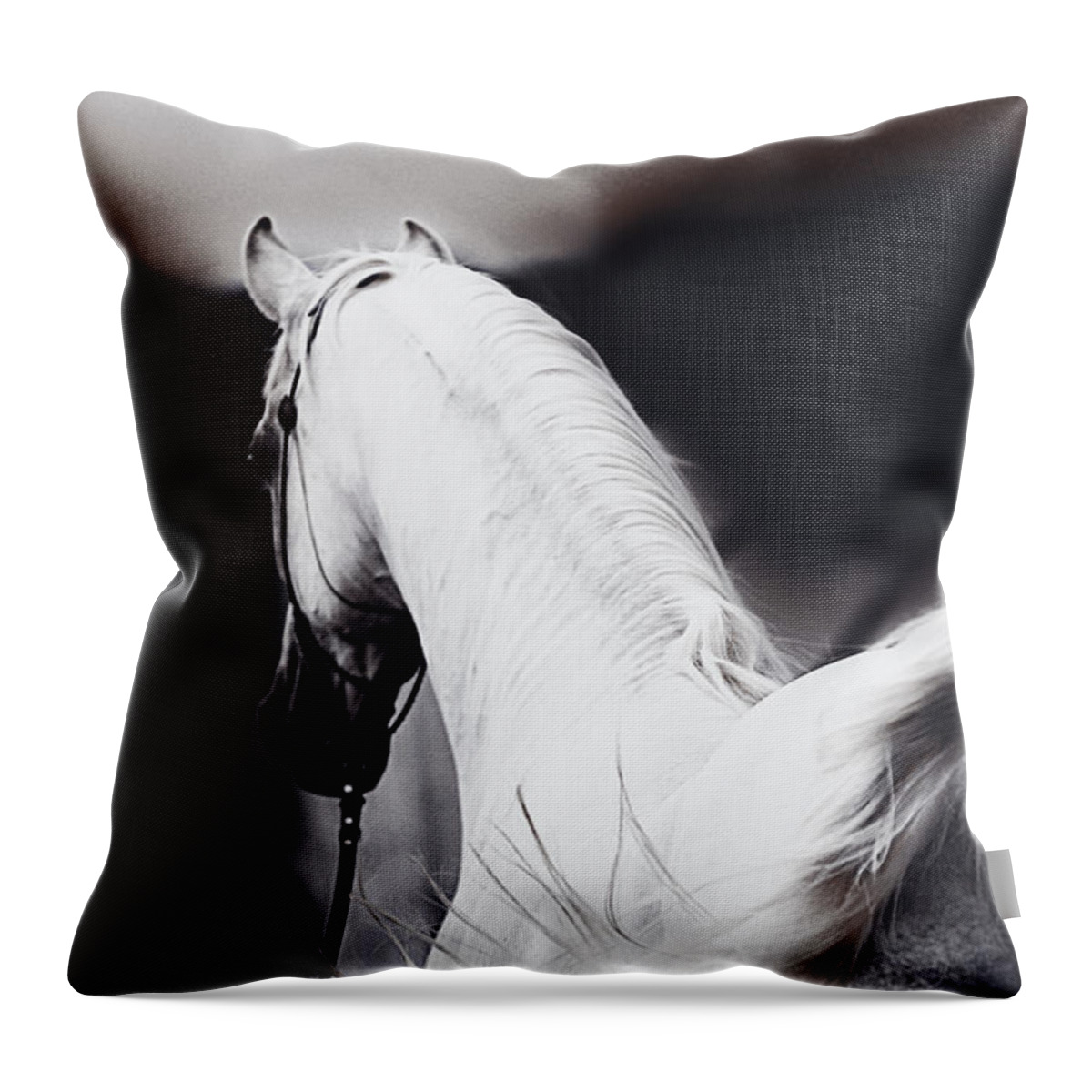 Animal Throw Pillow featuring the digital art New Year 5 by Janice OConnor