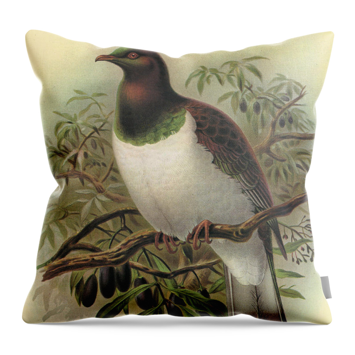 New Zealand Pigeon Throw Pillow featuring the painting New Zealand Pigeon by Dreyer Wildlife Print Collections 