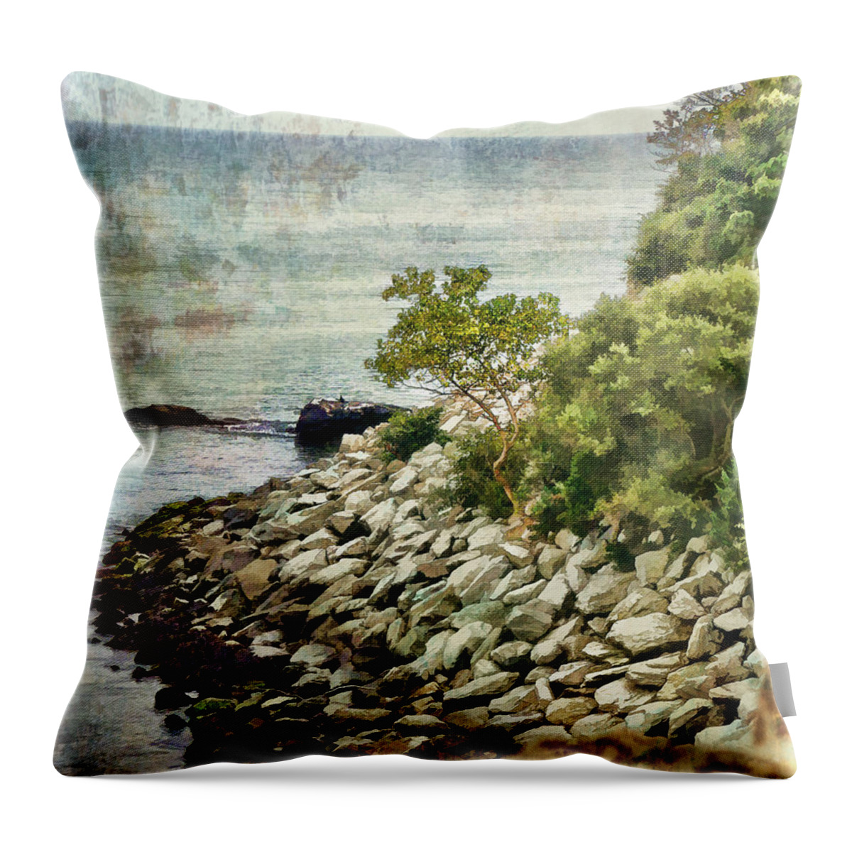 Julia Springer Throw Pillow featuring the photograph Newport Cliff Walk by Julia Springer
