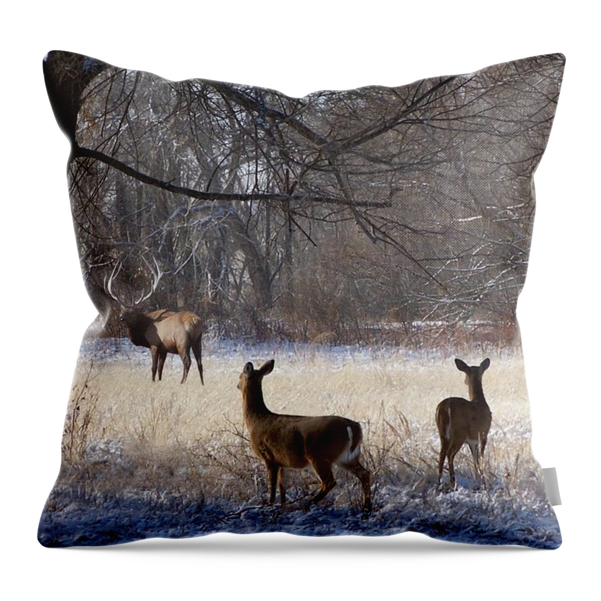 Deer Throw Pillow featuring the digital art Next of Kin by Bill Stephens