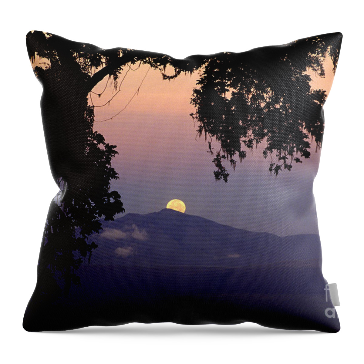 Tourism Throw Pillow featuring the photograph Ngorongoro Crater Moonrise Tanzania by Craig Lovell