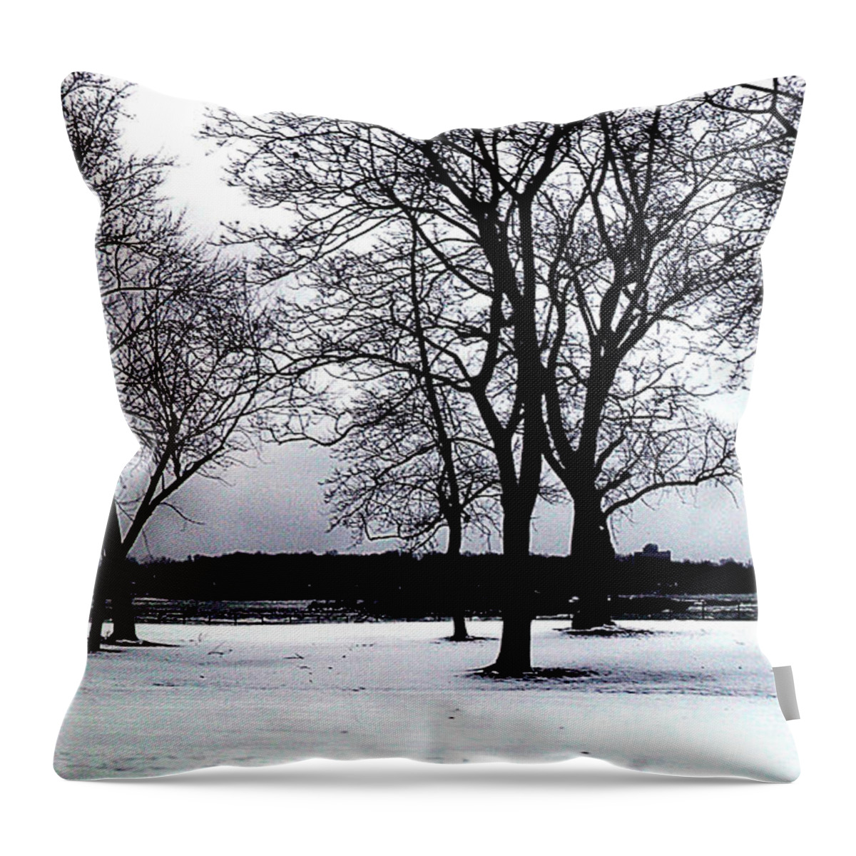 Landscape Throw Pillow featuring the photograph Niagara Winter Beauty by Iris Gelbart