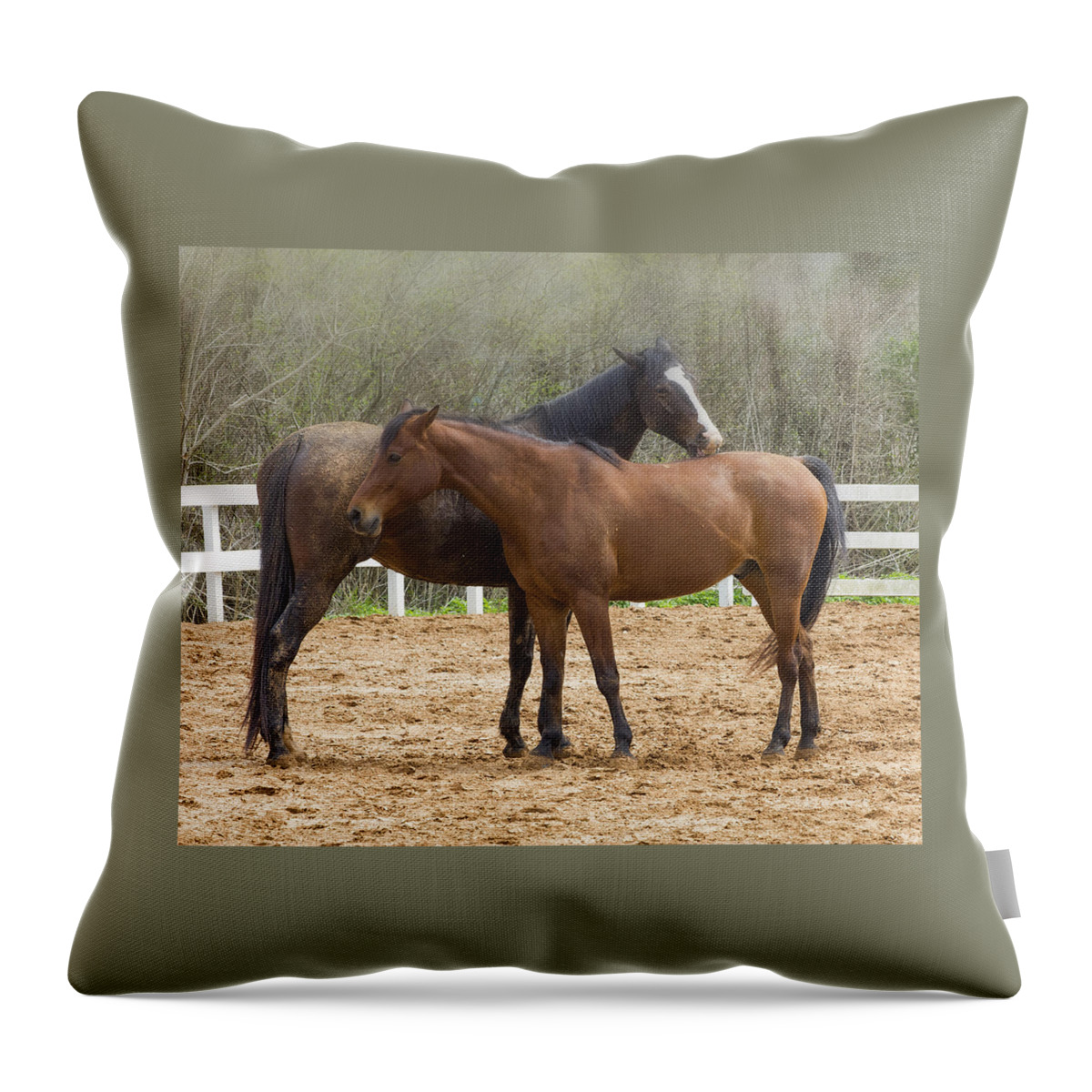 Horse Throw Pillow featuring the photograph Nibbles by TN Fairey