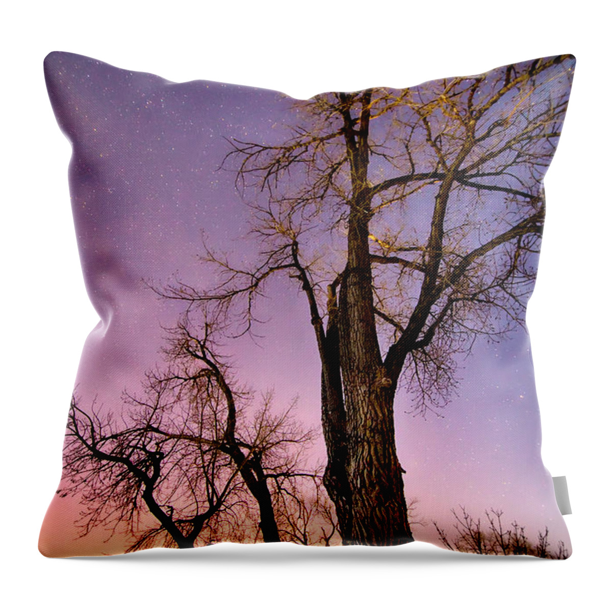 Scenic Throw Pillow featuring the photograph Night and Day by James BO Insogna