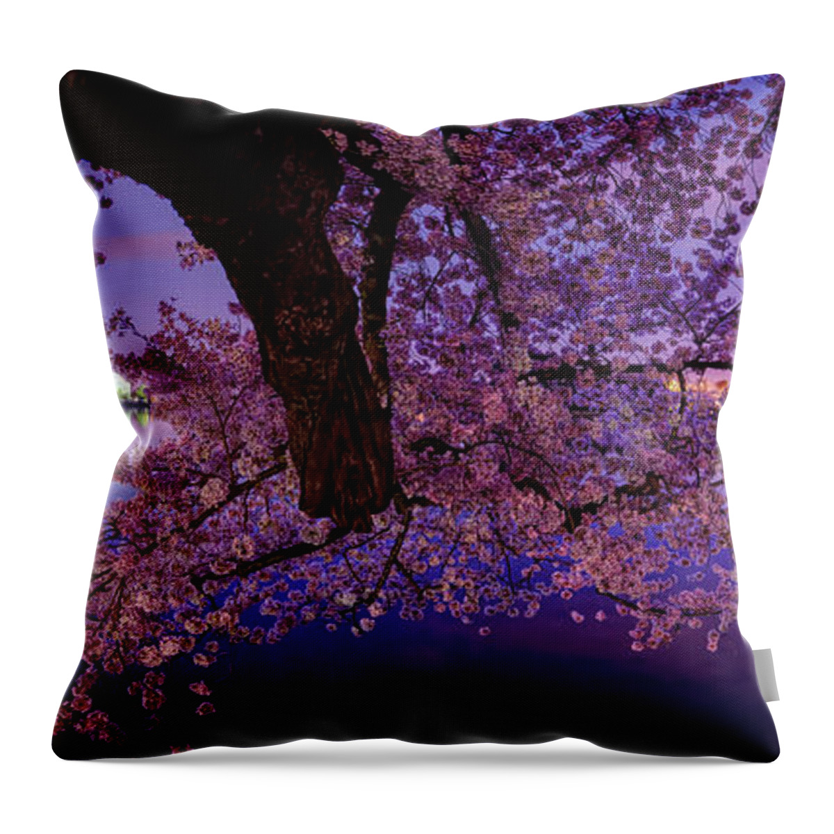Dc Throw Pillow featuring the photograph Night Blossoms by Metro DC Photography