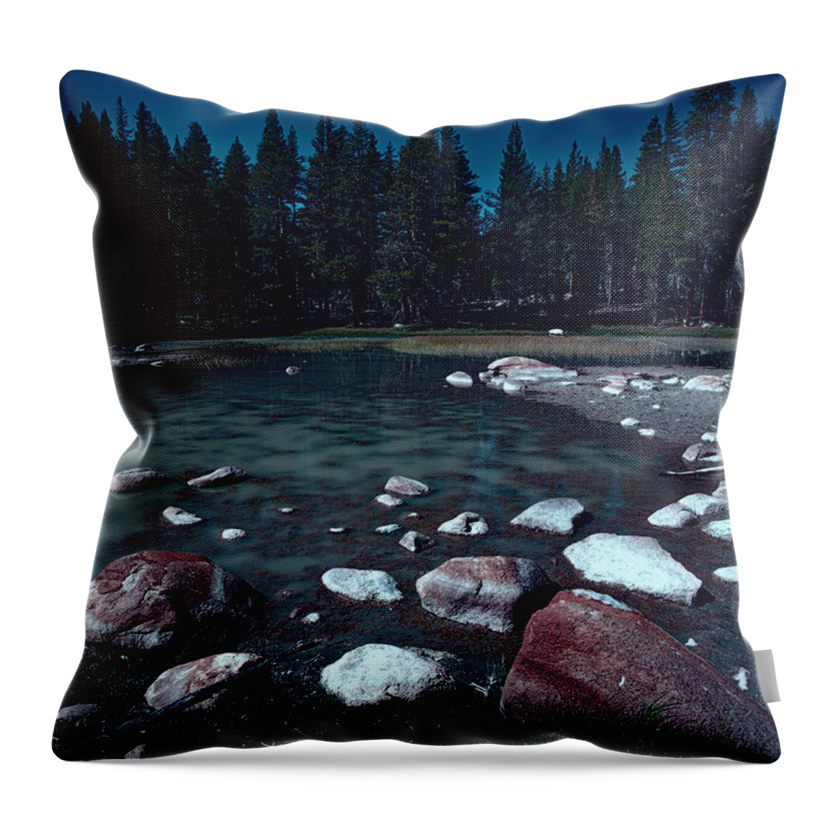 Forest Throw Pillow featuring the photograph Night Closes In by Bonnie Bruno
