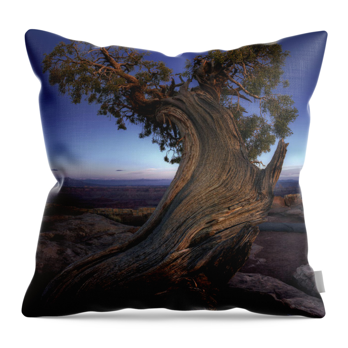 Award Winning Photography Throw Pillow featuring the photograph Night Guardian of the Valley by Marco Crupi