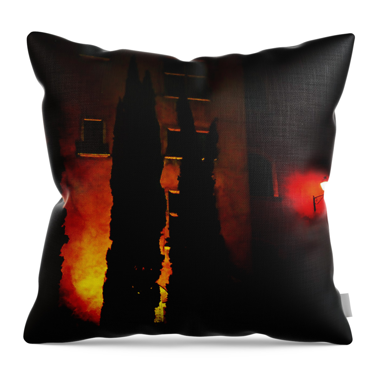 Lyon Throw Pillow featuring the photograph Night Lights of the Old Lyon by Jenny Rainbow