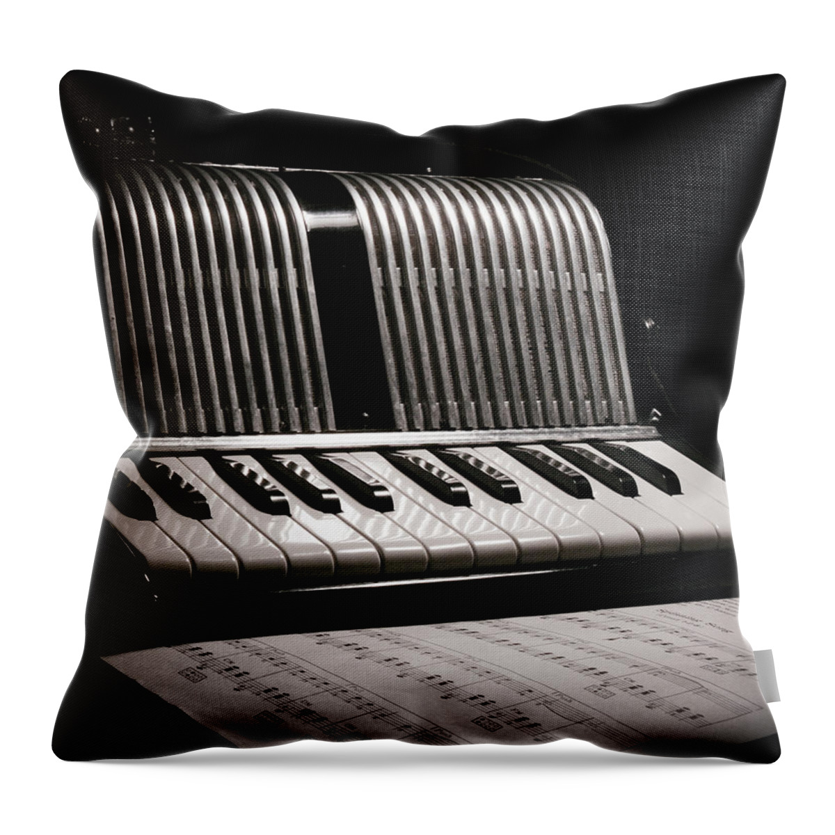 Accordian Throw Pillow featuring the photograph Night Song by Jeff Mize