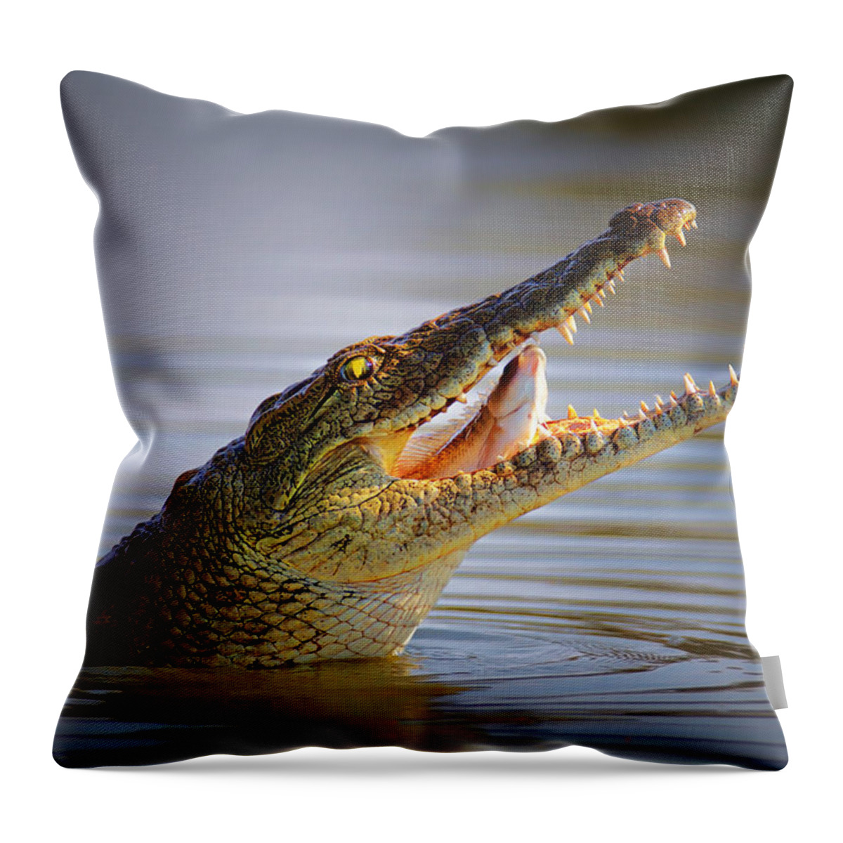 Crocodile Throw Pillow featuring the photograph Nile crocodile swollowing fish by Johan Swanepoel