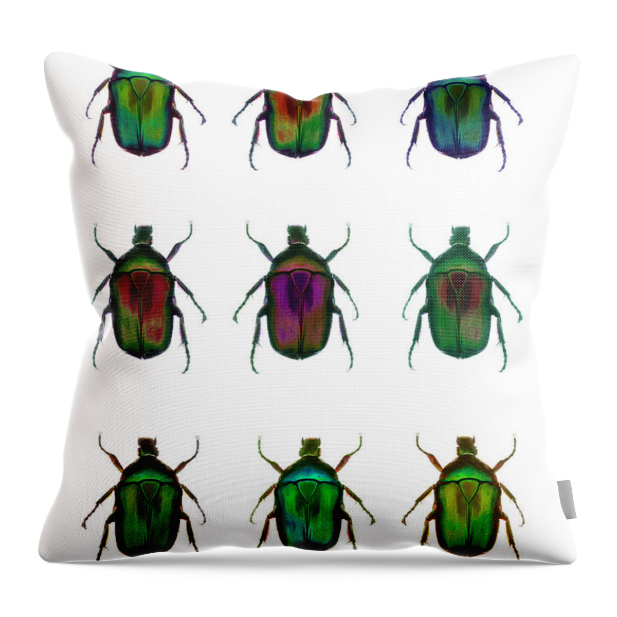White Background Throw Pillow featuring the photograph Nine Beetles Against A White Background by Richard Boll