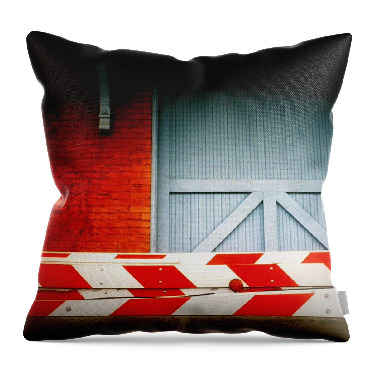 Fine Art Throw Pillow featuring the photograph No Passage by Rodney Lee Williams