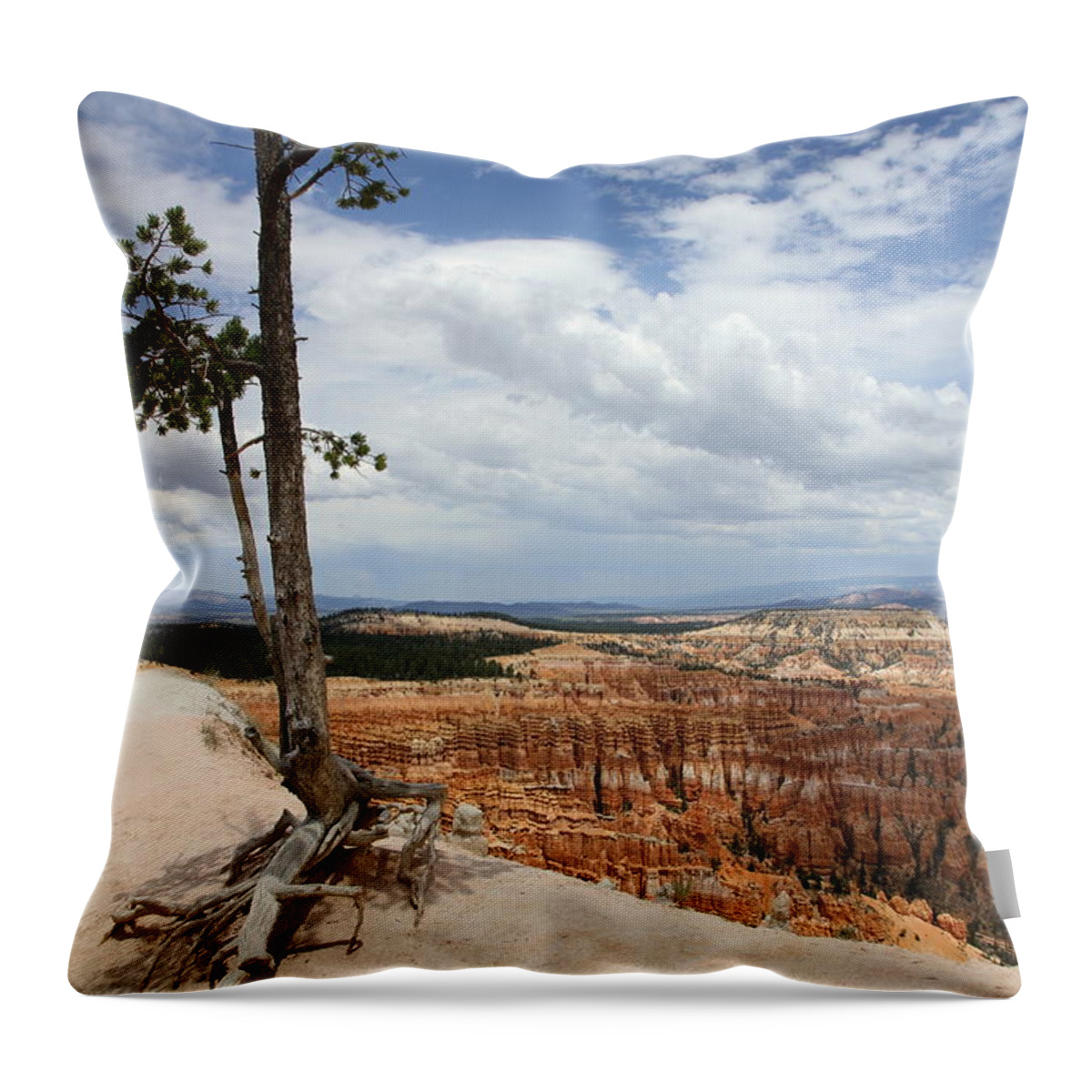 Bryce Canyon Throw Pillow featuring the photograph No Real Rooting by Christiane Schulze Art And Photography