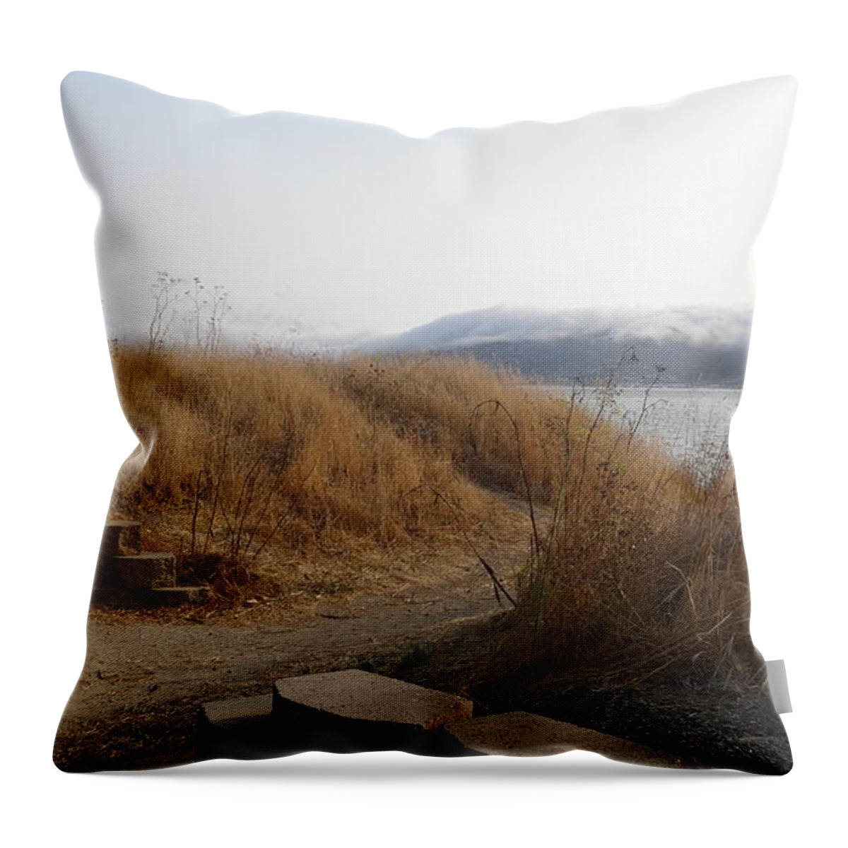 Photography Throw Pillow featuring the digital art No Separation by Richard Laeton
