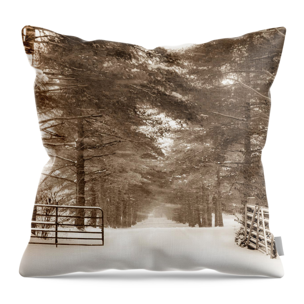 No Trespassing Throw Pillow featuring the photograph No Trespassing - Sepia by Ron Pate