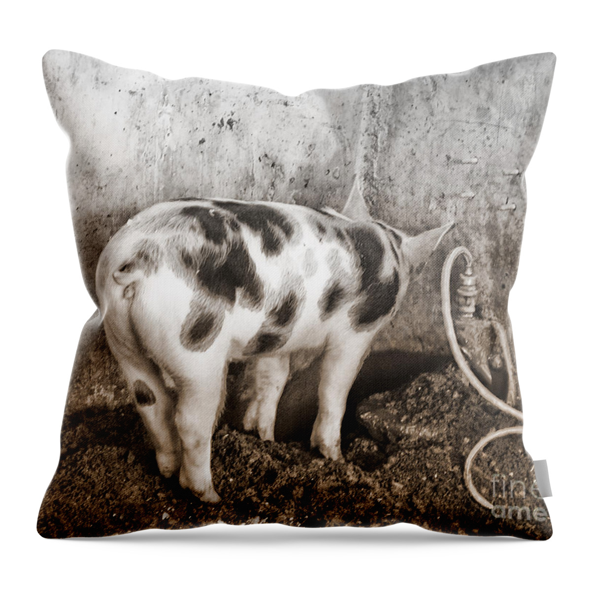 No Way Out Throw Pillow featuring the photograph No Way Out by Sandi Mikuse