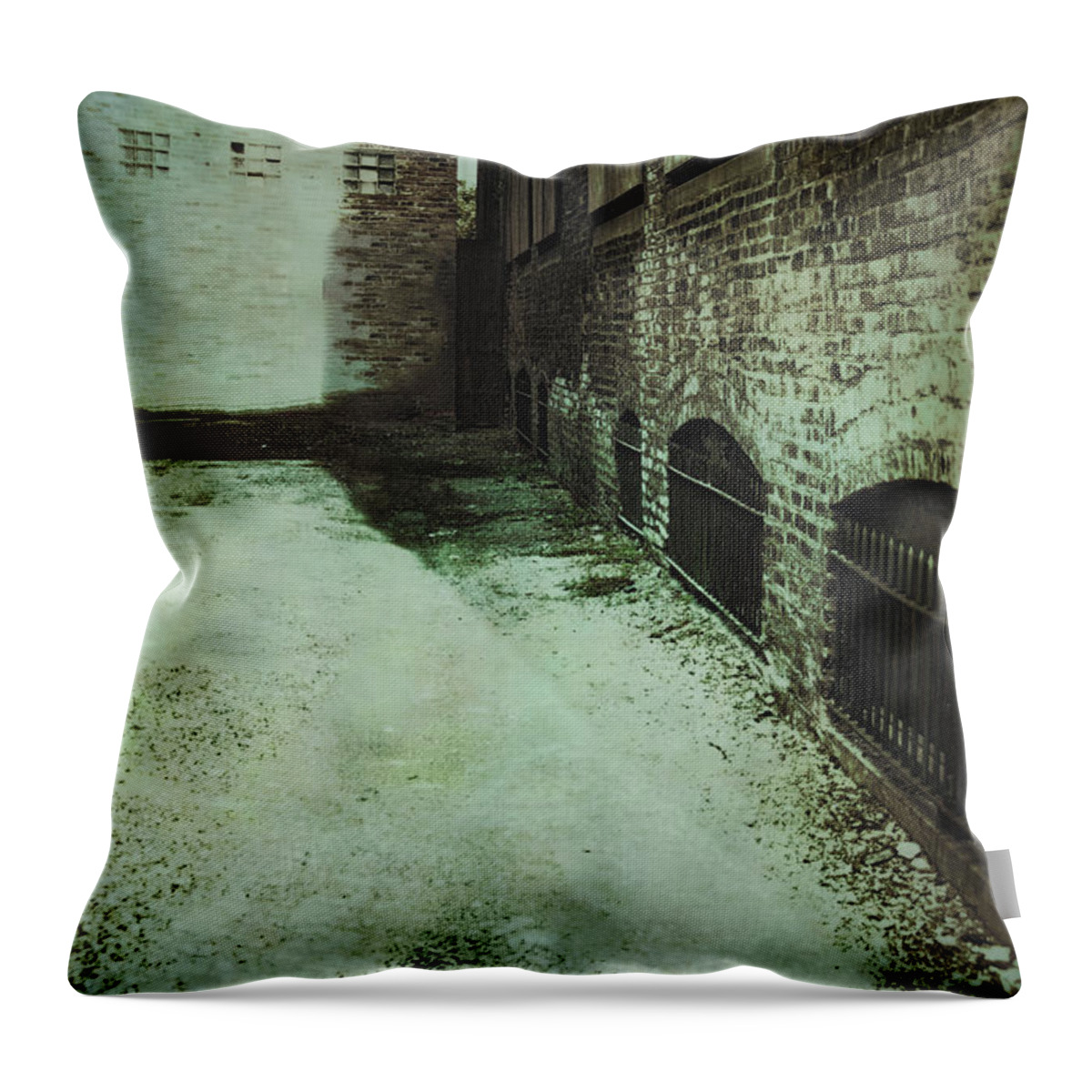 Alley Throw Pillow featuring the photograph No Way to Escape by Margie Hurwich