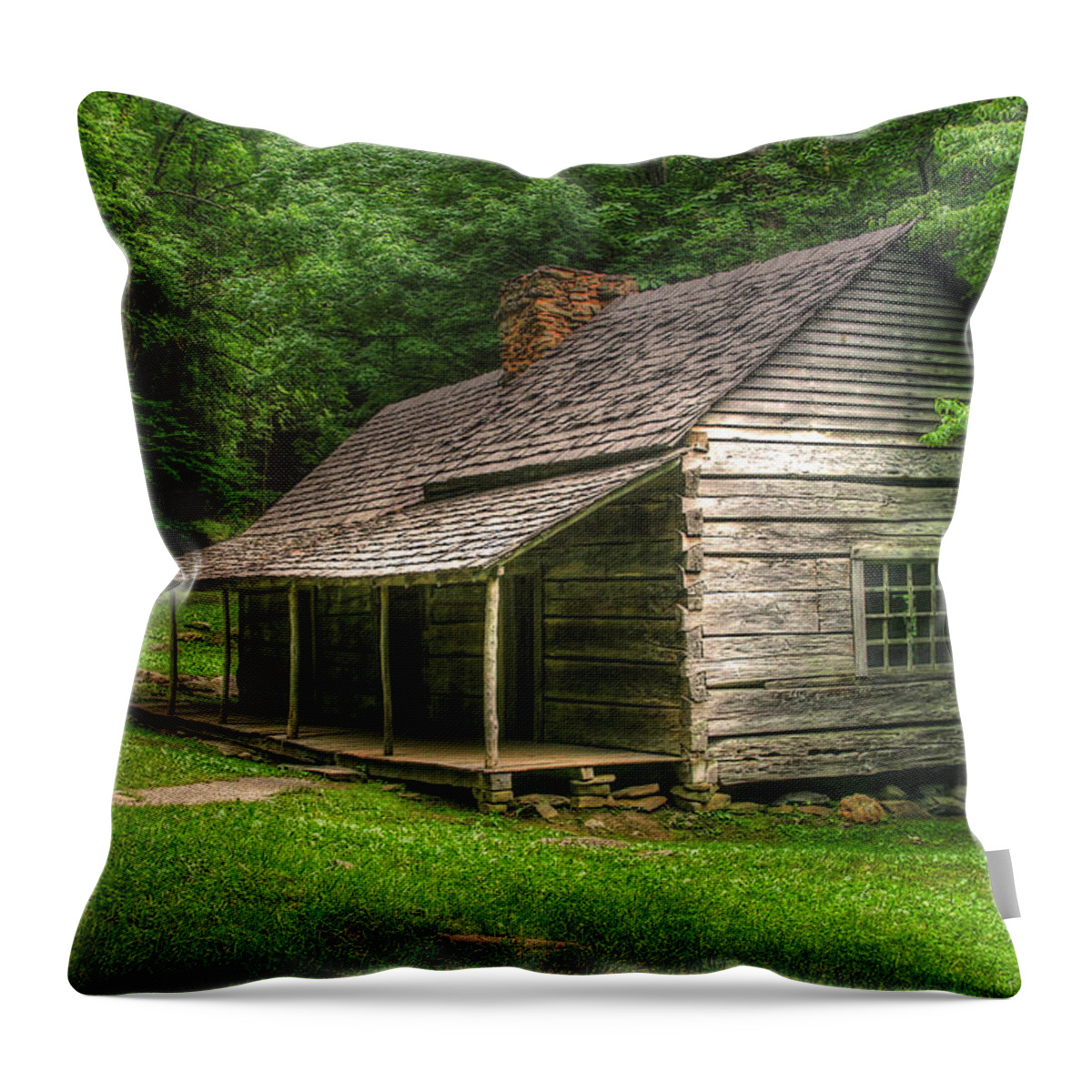 Cabin Throw Pillow featuring the photograph Noah Ogle Cabin by Cindy Haggerty