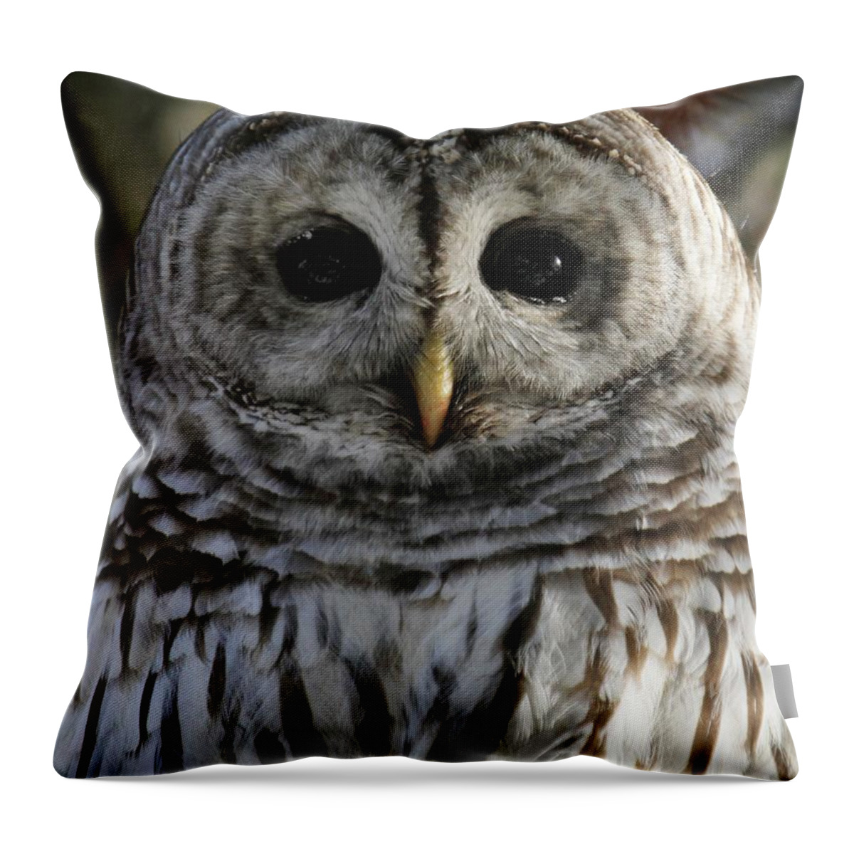 Wildlife Photography Throw Pillow featuring the photograph Noble by Heather King