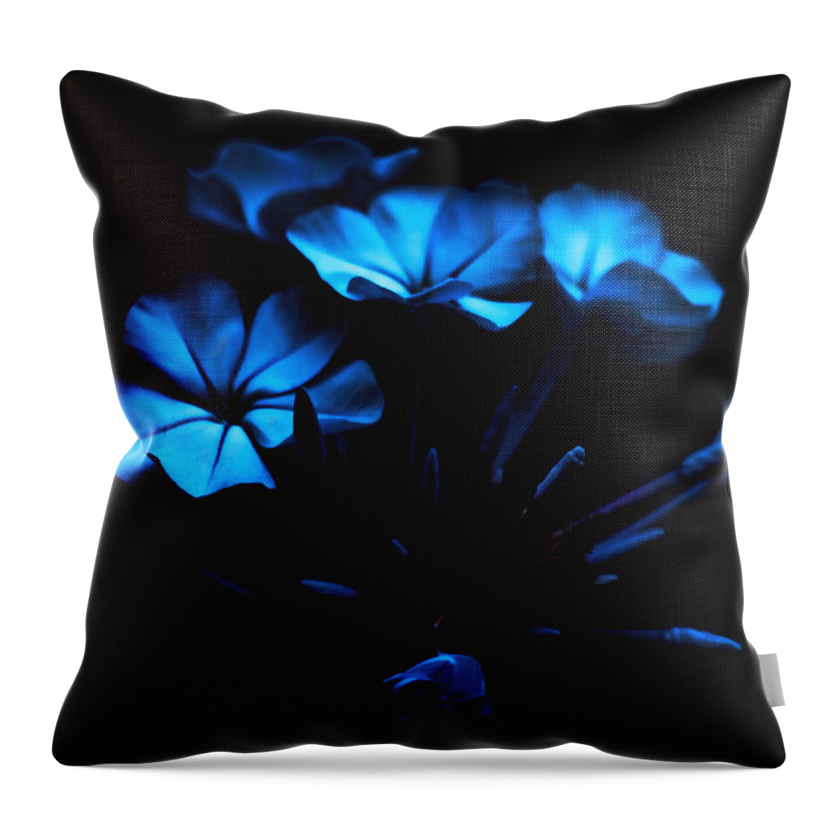 Blue Throw Pillow featuring the photograph Nocturnal Blue by Camille Lopez