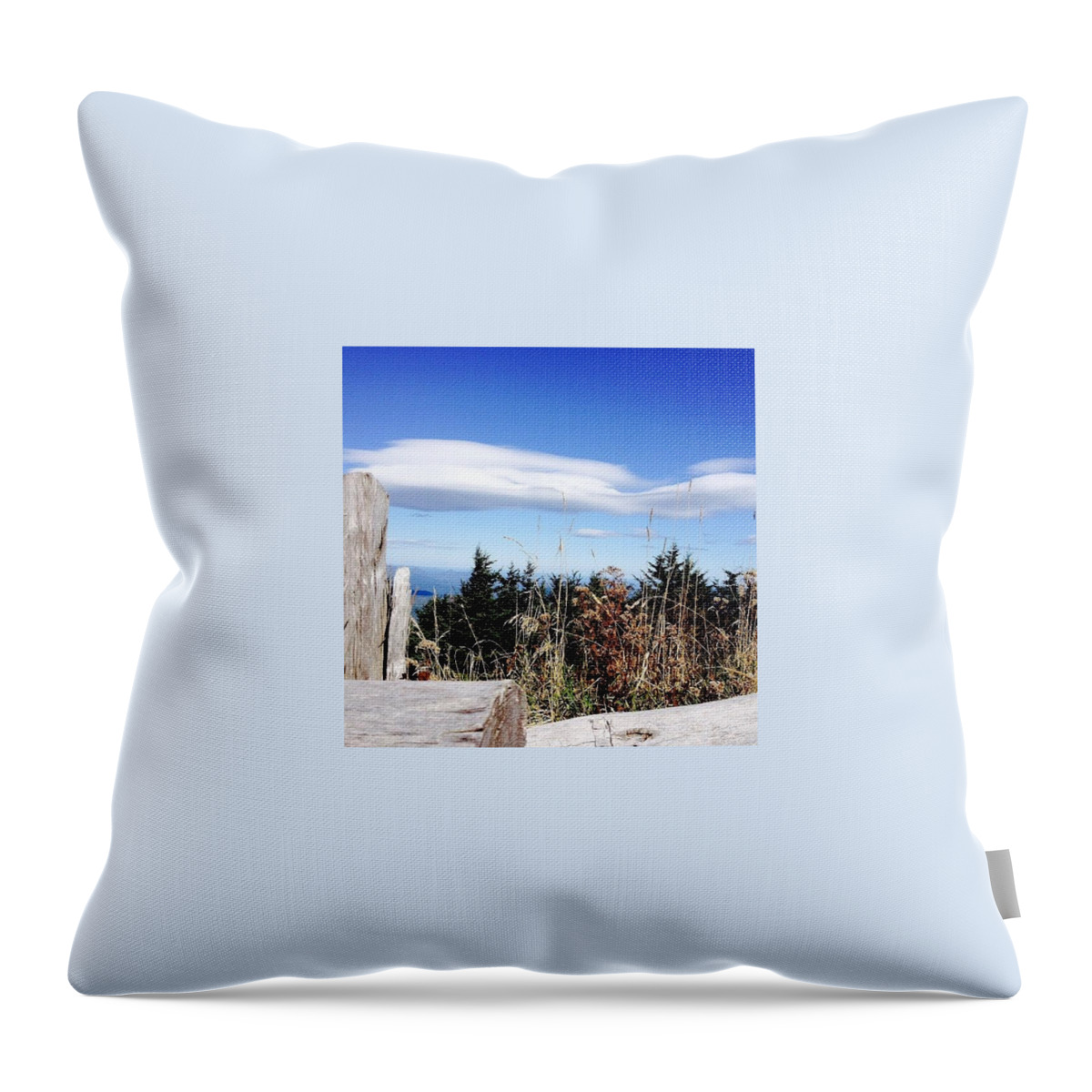 Scenery Throw Pillow featuring the photograph Blue Ridge Moment by Katherine Stevens
