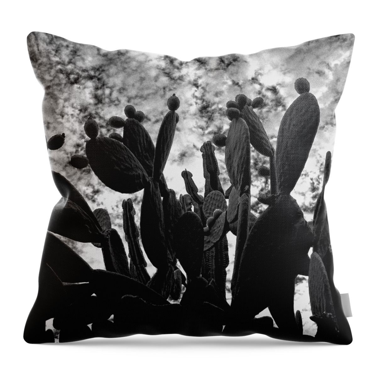 Black And White Throw Pillow featuring the photograph Nopalera by Guillermo Rodriguez