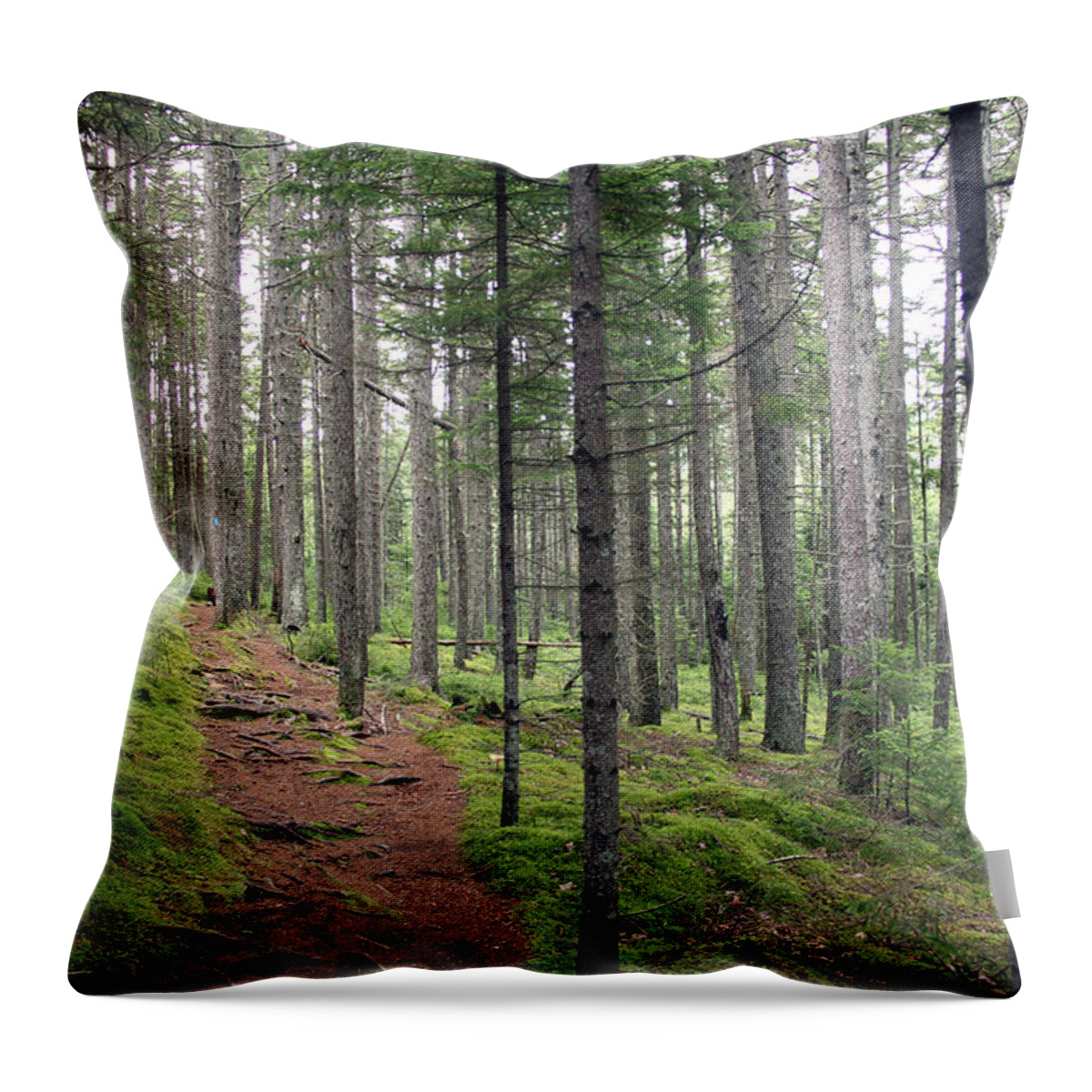 Trail Throw Pillow featuring the photograph Norembega by John Meader