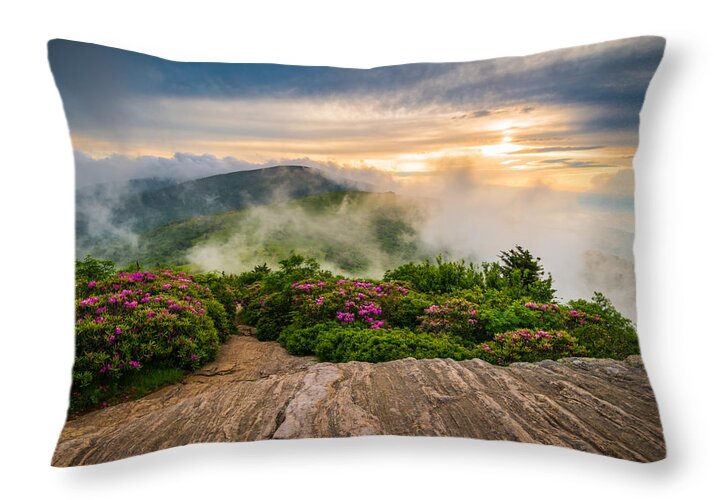 North Carolina Throw Pillow featuring the photograph North Carolina Appalachian Trail Spring Blue Ridge Mountains by Dave Allen