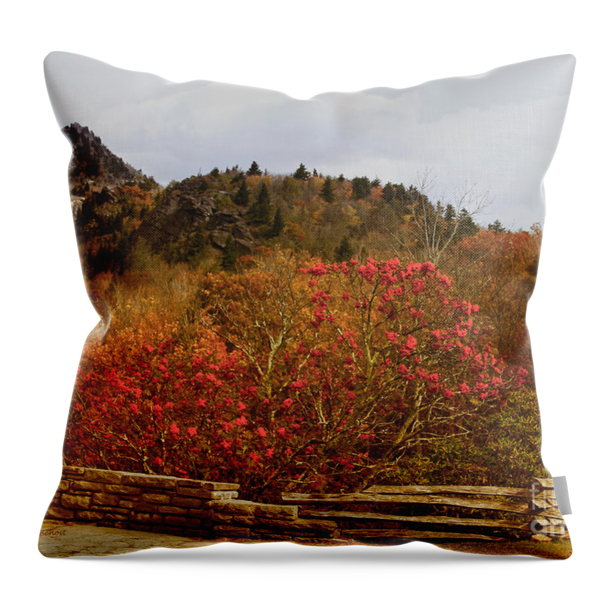 North Carolina Throw Pillow featuring the photograph North Carolina Beauty by Deborah Benoit