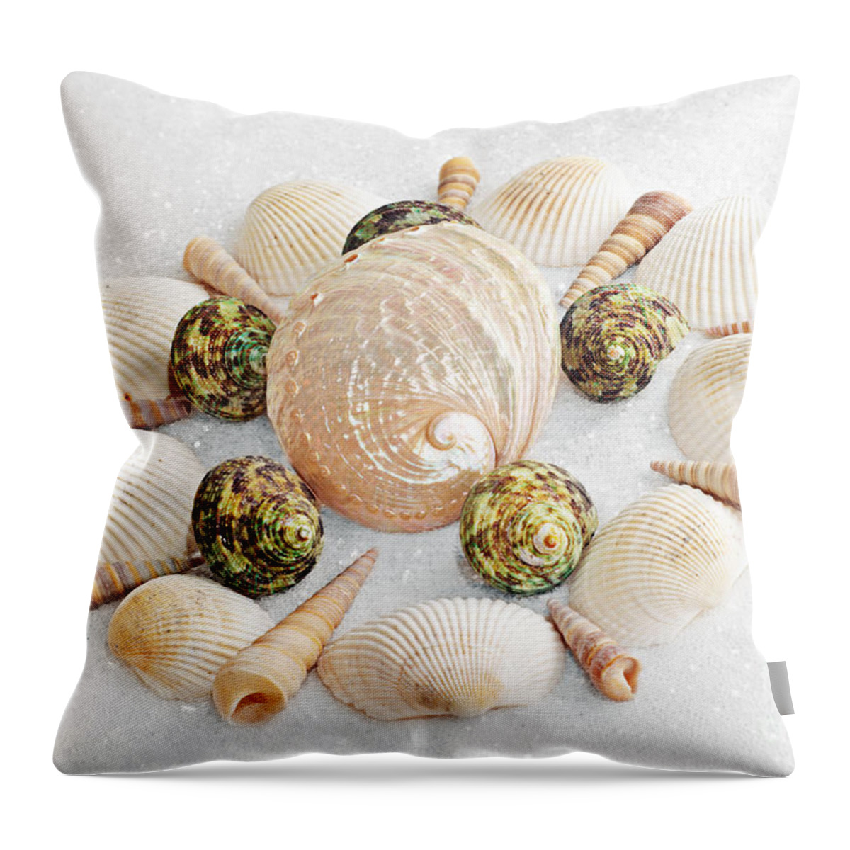 Seashells Throw Pillow featuring the photograph North Carolina Circle Of Sea Shells by Andee Design
